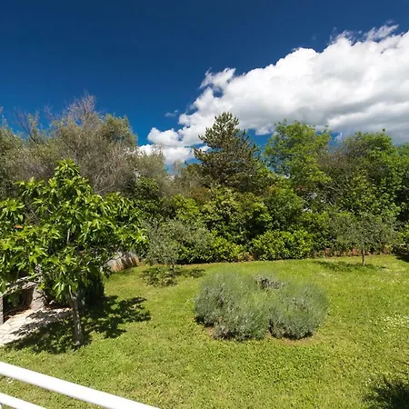 Josip Malin Διαμέρισμα